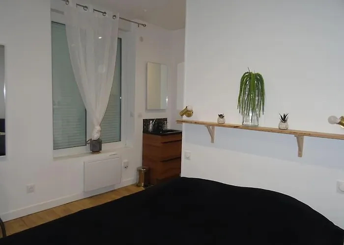 Artem Neuf Et Terrasse * Nancy