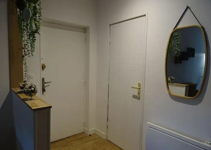 Artem Neuf Et Terrasse * Nancy